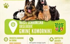 ZADZWOŃ (Plakat)
