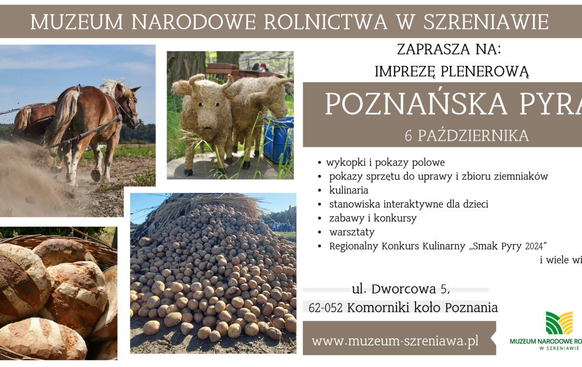 Zdjęcie do Święto smaku i tradycji: &bdquo;Poznańska Pyra&rdquo; w podpoznańskim Muzeum Rolnictwa już w niedzielę!