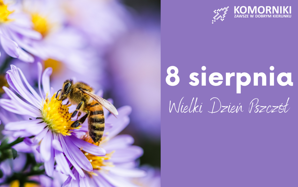  8 sierpnia obchodzimy Wielki Dzień Pszczół!