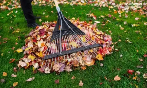 Zdjęcie do Regulamin utrzymania czystości i porządku na terenie gminy Komorniki