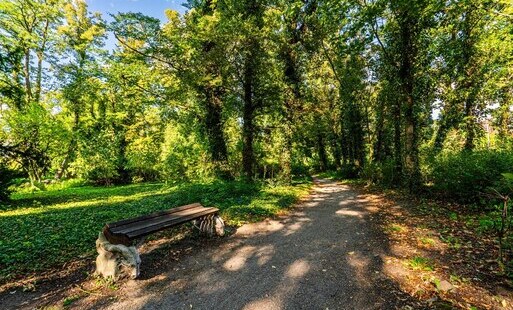 park