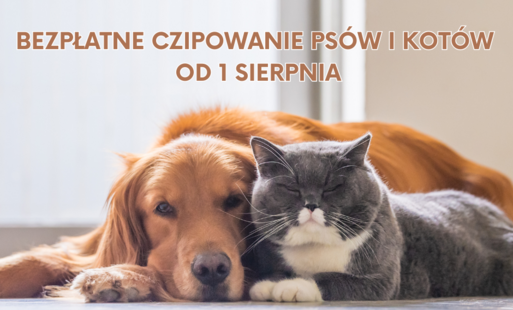 Fotografia przedstawiająca lezących obok siebie psa i kota 