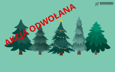 Zdjęcie do Podaruj drugie życie choince - akcja odwołana