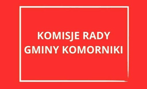 Zdjęcie do Komisja Bezpieczeństwa i Porządku Publicznego