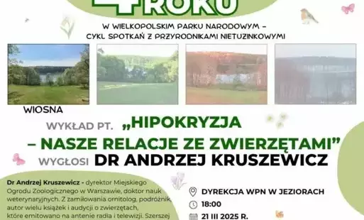 grafika