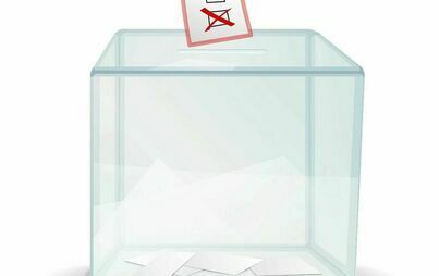 Zdjęcie do Wybory do Sejmu i Senatu, Referendum