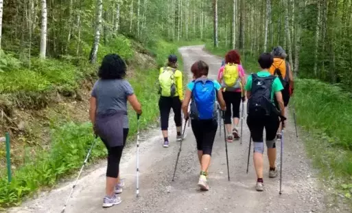 nordic walking
