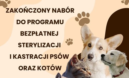 psy i koty 