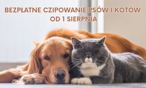 Bezpłatne czipowanie psów i kotów w Gminie Komorniki