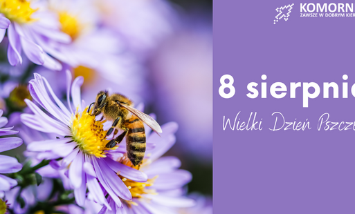  8 sierpnia obchodzimy Wielki Dzień Pszczół!